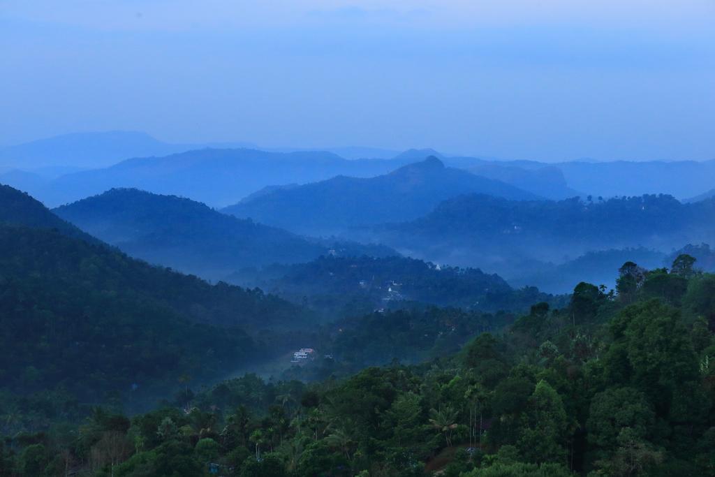 Munnar Tea Hills Resort - Mthr Extérieur photo